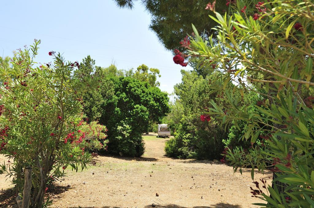 Villaggio Camping Tesonis Beach Tertenìa Extérieur photo
